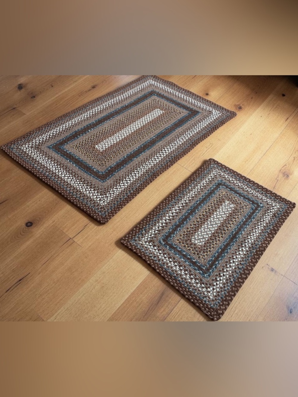 Set of 2 Safavieh Hand Braided Brown Multicolor Rectangle Rugs 4'10x35.5 & 2’x3’